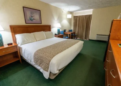 Norma Dan Motel Single King Bed Room