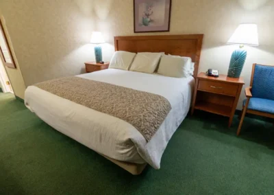Norma Dan Motel Single King Bed Room